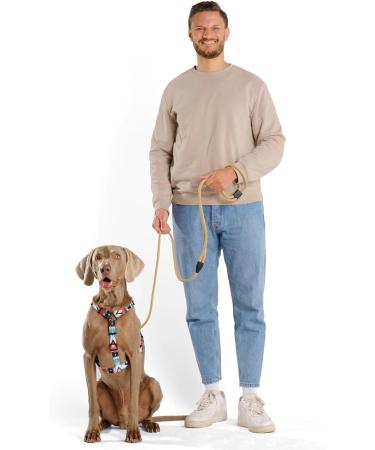 Hands-Free Dog Leash - 2m Adjustable Belly Belt | 3-in-1 Running & Training Leash for Large & Small Dogs - Beige - Buy Online on SooperMarket.com