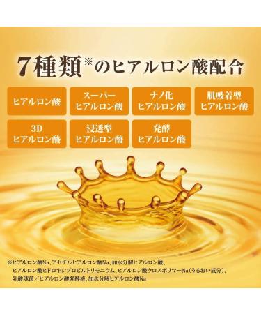 (Set of 2) Hada Labo Gokujun Premium Hyaluronic Acid 170ml - Hydrating Skin Care Serum - Buy Online on SooperMarket.com