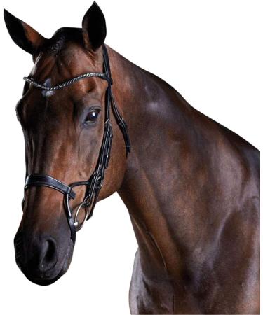 Collegiate 2021 Comfitec Crystal Bridle 80770 - Black Warmblood | Premium Equestrian Gear for International Shipping - Buy Online on SooperMarket.com
