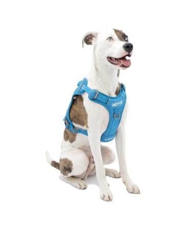 Kurgo RSG Dog County Harness Comfortable Padded Dog Hiking Harness Adjustable MOLLE Compatible Medium-Coastal Blue Medium County Harness Coastal Blue