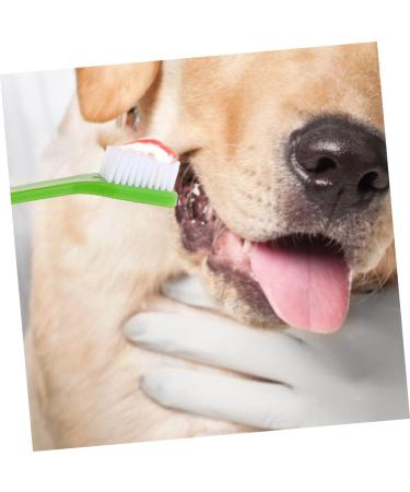 CORHAD 12pcs Double Head Dog Toothbrush Dog Finger Toothbrush Dog Toothbrush Toothpaste Dog Tooth Care Pp - Buy Online on SooperMarket.com