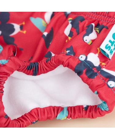 TotsBots Reusable Swim Pants (Puffling Paddle) 6-12 Months - UK Made, Swimming Pool Safe, Easy to Use - Buy Online on SooperMarket.com
