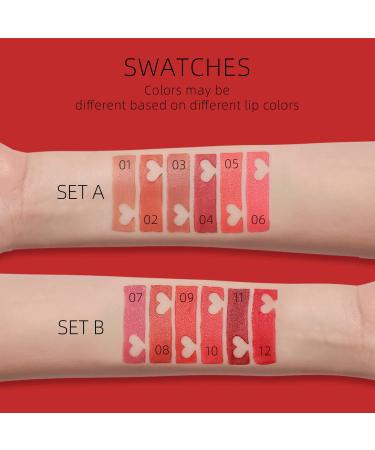 YOUNG VISION Lipsticks Set: Multi-finish Matte Nude Colors Bundle for Long-lasting & Moisturizing Lip Makeup - Pack of 6 - Perfect Gift for Women - Buy Online on SooperMarket.com