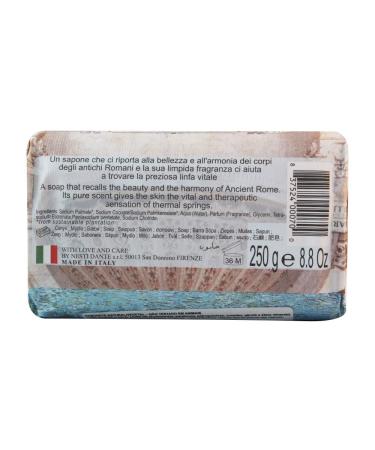 Nesti Dante Emozioni In Toscana Natural Soap 8.8 oz | Premium Thermal Water Soap for Luxurious Skin Care - Shop Internationally - Buy Online on SooperMarket.com