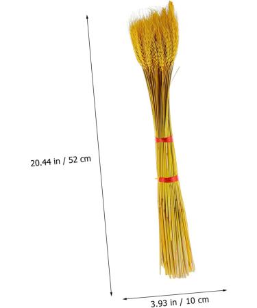 100pcs Dried Wheat Ears Bouquet Dried Flowers Decor Wedding Wheat Ear Floral Arrangement Wheat Ear Wheat Stalk Flowers Wheat Ear Dry Flowers Home Wheat Ear Real Flower Natural Yellow 52X10CM - Buy Online on SooperMarket.com