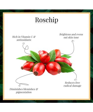 Good Vibes Rosehip Face Serum - Hydrating Natural Formula for All Skin Types | Paraben & Sulfate Free - 30 ml - Buy Online on SooperMarket.com