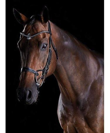 Collegiate 2021 Comfitec Crystal Bridle 80770 - Black Warmblood | Premium Equestrian Gear for International Shipping - Buy Online on SooperMarket.com