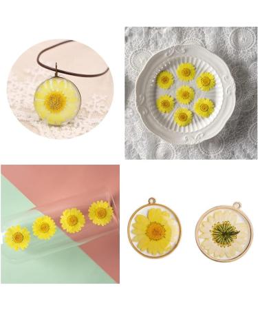 50pcs Natural Dried Daisy Flowers - Vacuum Packed for Decoration & Jewelry Making (5 Colors) - Buy Online on SooperMarket.com