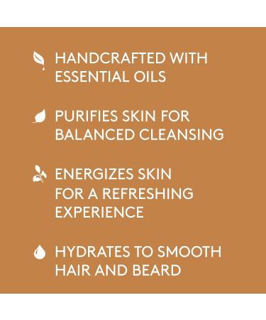 Barrel and Oak All-In-One Men's Body Wash - Natural Exfoliator, Moisturizer & Hair Hydrator - Spiced Sandalwood Scent - 16oz - Buy Online on SooperMarket.com