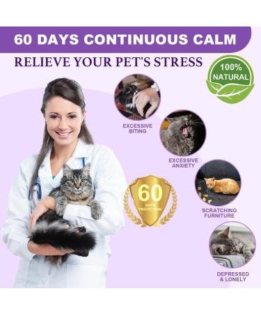 Calming Cat Collar for Anxiety Relief | Adjustable, Waterproof, Safe Pheromone Anti-Anxiety Treatment | Natural Calm for Kitten, Medium, Large Cats | Purple (2 Pack) - Buy Online on SooperMarket.com
