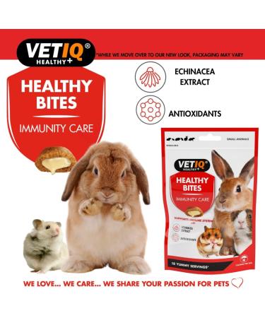 VETIQ Healthy Bites Small Animals Variety Pack 4x30g For Hamster Guinea Pig & Rabbit Treats Odour control Nutrition booster immune system care calming remedy dental care with no preservatives 30 g (Pack of 4) Variety Pack 4x30g - Buy Online on SooperMarket.com