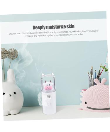 NOLITOY Moisturizer Diffuser Mini Face Mist Mister Portable Humidifier Spray Face Steamer Travel - Buy Online on SooperMarket.com