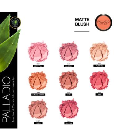 Palladio Matte Blush - Smooth and Even Finish for Effortless Makeup Blending - Peach Ice - Buy Online on SooperMarket.com