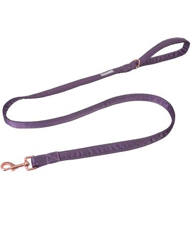 Lionet Paws Dog Leash - Silk Leash for Small Medium Large Dogs Matching Collars for Girls and Boys XS Leash (Pack of 1) Purple