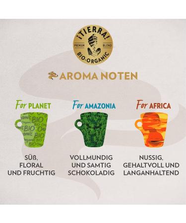 Buy Lavazza Tierra Organic Coffee Beans - 1500g (3 Packs) | Hand-Picked Fair Trade Coffee from Africa & Amazonia - Buy Online on SooperMarket.com