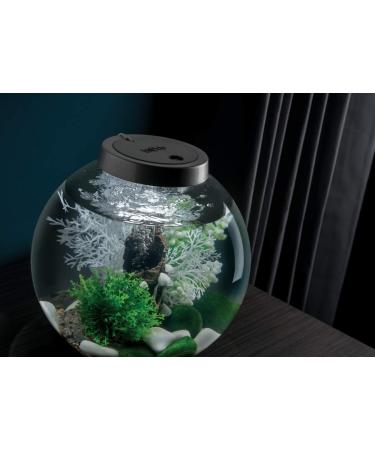 Biorb 78134 Fairytales Decor Set - Realistic Artificial Aquatic Plants Roots & Stones for Freshwater & Saltwater Aquariums | 15L Aquarium Design - Buy Online on SooperMarket.com