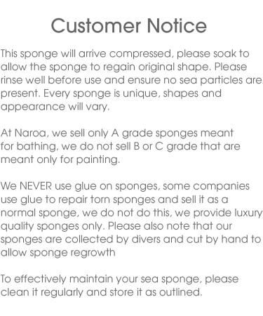 Naroa Natural Sea Sponge for Bathing | Firm Exfoliating Body Scrubber | Eco-Friendly & Renewable | Medium Size | Men & Women - Buy Online on SooperMarket.com