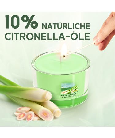 Citronella Candle Set - 6 Natural Soy Wax Candles for Outdoor Use | 12 Hours Burn Time | Perfect for Garden Camping & Picnics - Buy Online on SooperMarket.com