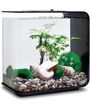 Buy Biorb 55026 Decor Set 15L - Realistic Artificial Aquatic Plants Roots & Stones for Freshwater & Saltwater Aquariums - Perfect Summer Decoration - Buy Online on SooperMarket.com