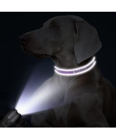Buy Tagme Personalized Purple Dog Collar for Small Dogs | Embroidered Reflective Nylon with Pet Name & Phone Number - International Shipping Available - Buy Online on SooperMarket.com