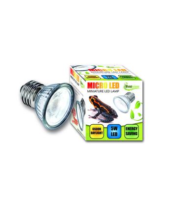 VIVIDARIUM MICRO NANO LED LIGHT BULB FOR REPTILES daylight white 6500k 5 watt vivarium terrarium