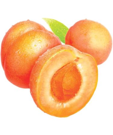St. Ives Apricot Facial Scrub 150ml - Exfoliating and Refreshing Formula - Buy Online on SooperMarket.com