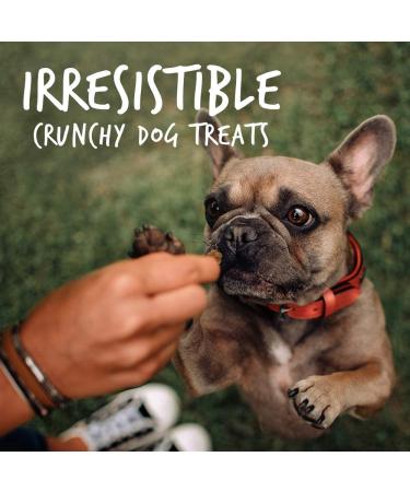 Fruitables Pumpkin & Bacon Apple Dog Treats | Healthy Low-Calorie, Wheat-Free | 7oz Pack - Buy Online on SooperMarket.com