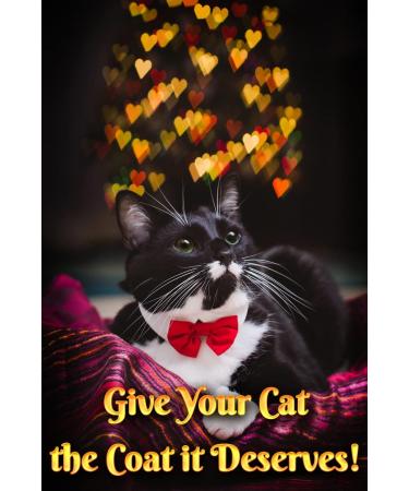 Fluffy Feline Cat Dandruff Care Spray - Buy Online at [Your Company Name] - Buy Online on SooperMarket.com
