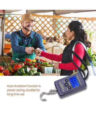 Digit Fishing Scale - 40 kg Hanging Digital Scale with Backlit LCD Display for Home & Outdoor Use | International Shipping Available - Buy Online on SooperMarket.com