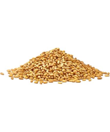 Manor Springs Organic 500g Organic Wheat Grain - Premium Quality - Buy Online on SooperMarket.com