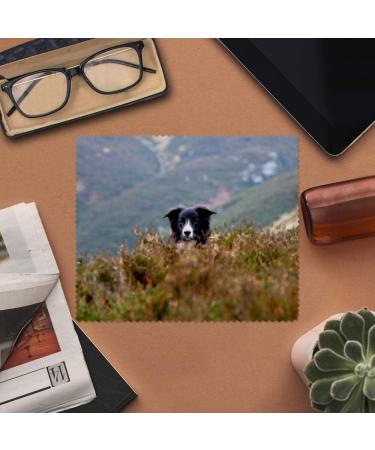 Buy 2 x 'Border Collie in the Bushes' Microfiber Lens Cloths - Perfect for Glasses - Fast International Shipping - Buy Online on SooperMarket.com
