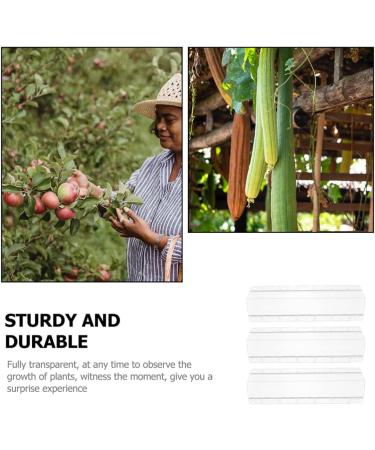 GANAZONO 3pcs Cucumber Mold Square Cucumber Growing Molds Solar Water Fountain Stereotypes Pp Ginseng Fruit - Buy Online on SooperMarket.com