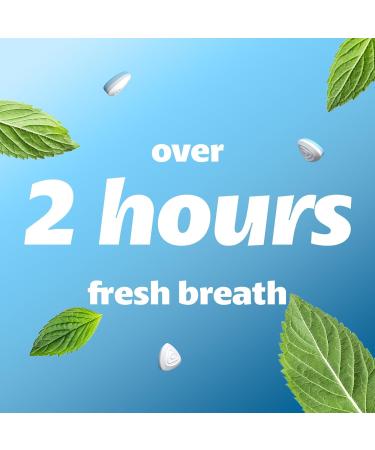 Smint Sugar Free Mints 2 Hour Clean Breath 50 XXL Peppermint Flavour - 12 Tins - Buy Online on SooperMarket.com