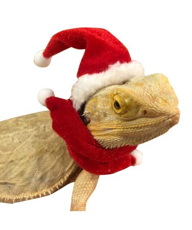 Petyoung reptiles hat scarf dishes set set for lizard bartagame gecko small animals christmas hat shell red leash dishes + scarf