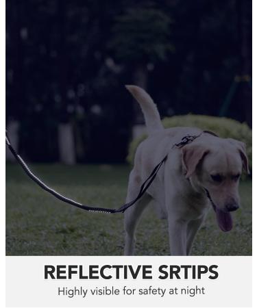 Joytale Tactical Dog Lead | Heavy Duty 1.2-1.8m Shock Absorbing Bungee Lead | 2 Handle Metal Carabiner | Car Seatbelt Strong No Pull Lead for Medium Large X-Large Dogs - Black - Buy Online on SooperMarket.com
