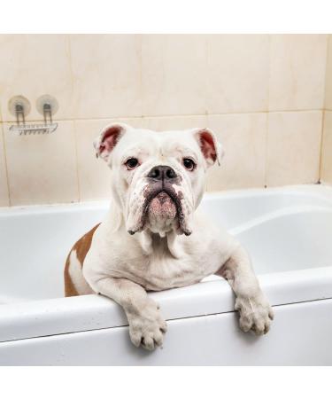 Iv San Bernard Trad Pek Conditioner 250 ml - Nourishing Dog Hair Care for All Breeds | International Shipping Available - Buy Online on SooperMarket.com