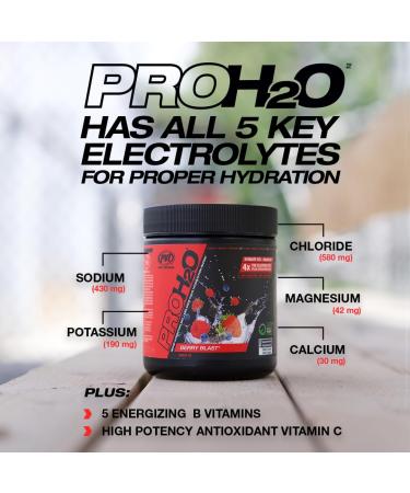 PVL Pro Series PROH2O | Advanced Hydration powder electrolyte powder with 5 key electrolytes no sugar carb free zero calories - 30 serving (255 G Orange Krush'd) Orange Krush'd 30 Servings (Pack of 1) - Buy Online on SooperMarket.com