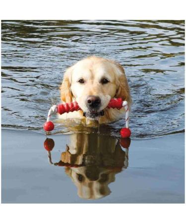 Dog Activity Mot-Long Floats - Durable 20 cm & 42 cm Dog Toys for Fun Playtime | International Shipping Available - Buy Online on SooperMarket.com