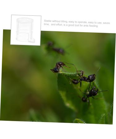 Buy Minkissy 3pcs Pet Water Feeder & Ant Farm Observation Kit | Mini Pet Houses & Acrylic Feeding Cup for Ants | International Shipping Available - Buy Online on SooperMarket.com