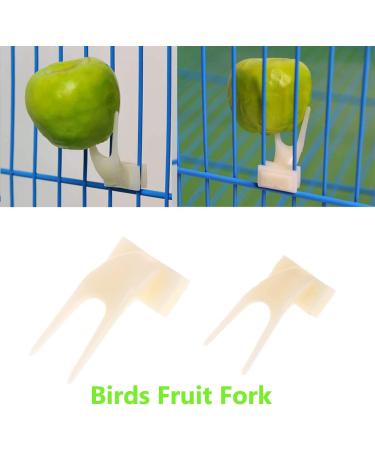 Anteer 12 Pack Bird Parrot Swing Chewing Toys - Hanging Bell Cage Toys for Small Parakeets, Cockatiel, Conures, Finches, Budgie, Macaws, Parrots, Love Birds - Buy Online on SooperMarket.com