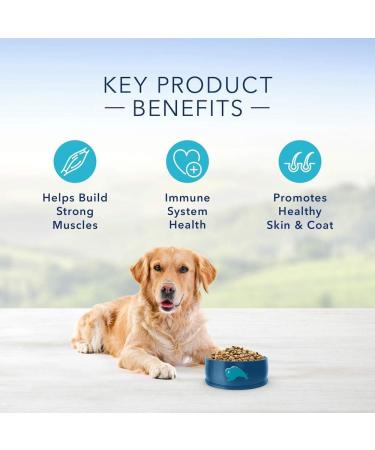Blue Buffalo Life Protection Formula Adult Dog Food Fish and Brown Rice 11.7kg Bag & Life Protection Formula Large Breed Puppy Dog Food Chicken and Brown Rice 11.7 Kg Bag Fish Large Bag + Chicken And Brown Rice 11.7 Kg - Buy Online on SooperMarket.com