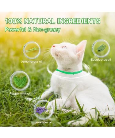 Cat Repellent Treatment Adjustable Cat Repellent Collars Natural Protection Repellent Collar for Cats Water Resistant Repellent Collar for Cats Small-Medium-Large Green 1pack - Buy Online on SooperMarket.com