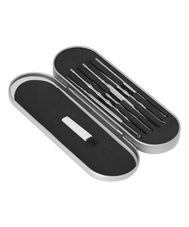 Ear Wax Remover Portable Case Ear Cleaning Kit Stainless Steel Fully Polished for Travel for Home (Silver)