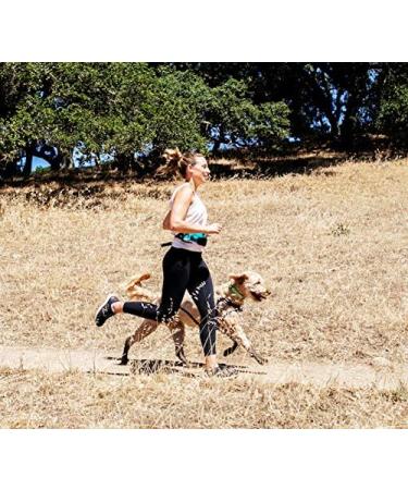 One Trail Hands Free Dog Lead | Durable Bungee Leash With No-Bounce Pack (Large Dog Black) Large Dog Black - Buy Online on SooperMarket.com