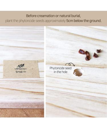 WOODSAIR Pet Casket Pet Burial Wooden Coffin Per Burial Casket Pet Cremation Coffin Pet Funeral Box Pet Natural Burial (SIZE 1-3.8 x 3.0 x 2.8 ) SIZE 1 - 3.8 x 3.0 x 2.8  - Buy Online on SooperMarket.com