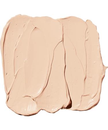 e.l.f. High Definition Powder Loose Setting Powder For A Soft-focus Finish Sheer Natural Coverage & Flawless Finish Foundation Lightweight & Medium Coverage Semi-Matte Finish Snow Translucent Powder + SKIN CONCEALER 81391 - Buy Online on SooperMarket.com