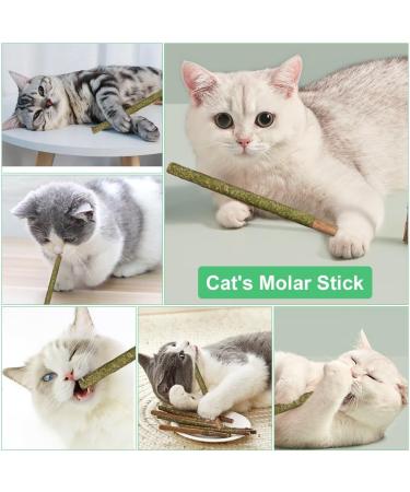 OSDUE 12PCS Cat Catnip Sticks Catnip Toys for Cats Teething Toys Cat Chew Toy Teeth Clean Chewing Grindin for Cat Kitten Kitty Natural Wood Sticks for Cats Play and Relax A-12 PCS Cat Catnip Sticks - Buy Online on SooperMarket.com