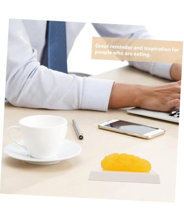 Gatuida Anatomical Fat 4pcs Fat Model Models Human Body Fat Plastic Body Fat Human Fat 1 Pound Demonstration Device Module - Buy Online on SooperMarket.com
