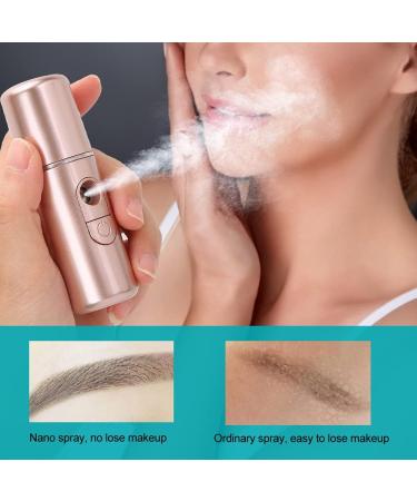 Nano Mist Sprayer USB Rechargeable Handheld Face Humidifier Sprayer Portable USB Face Humidifier SkinCare Moisturizing Hydrating Face Humidifier Sprayer Beauty Tool (Rose Gold) - Buy Online on SooperMarket.com