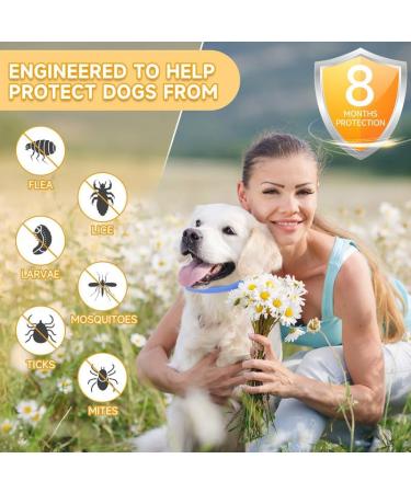 Repellent Collars for Dogs Repellent Collar for Dogs Adjustable Water Resistant repellent Collar Dog Natural Dog repellent Collars for Puppies Small Medium Large Dogs Blue 2pack - Buy Online on SooperMarket.com